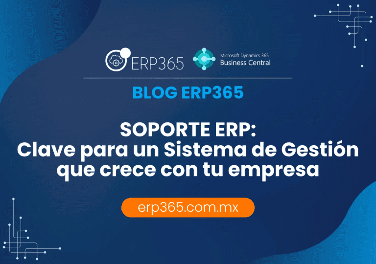 Soporte ERP: maximiza tu inversión en Sistemas de Gestión